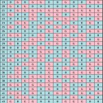 Chinese Calendar