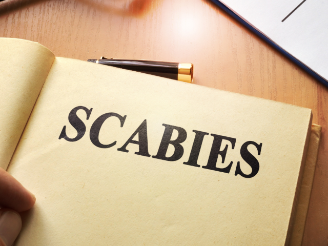 Scabies: Causes, Symptoms, Prevention, Home Remedies, And Treatment